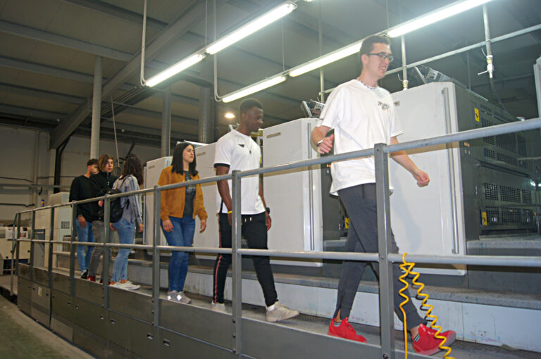 empleo ficha 768x510